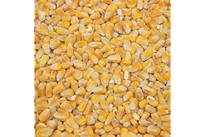Copdock Mill Whole Maize Chicken Feed, 20kg - Premium Quality Yellow Maize - 100% Natural High In Fat and Rich In Energy Complementary Feed - Suitable for Poultry, Doves, Pigeons, Water and Game Birds