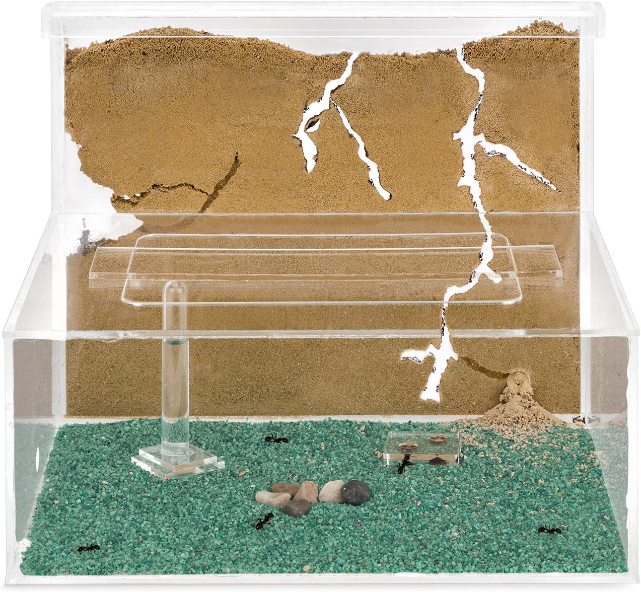 Anthouse.es - Hormiguero Natural de Arena - Kit Hormiguero Acrílico L (Sándwich + Caja de Forrajeo) - Granja de Hormigas con Colonia de Hormigas Incluida - 25x20x1 cm y 10x24 x10 cm - Transparente