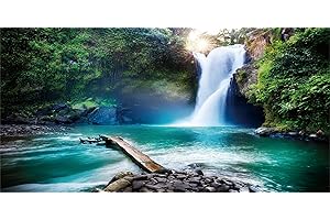 MIRRORANG 120x50cm Fond de Terrarium de forêt Tropicale Arbre Vert Soleil Bleu Cascade rivière Reptile Habitat Fond forêt Tropicale Aquarium Fond