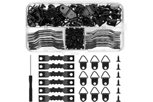 Auauraintt 251 Piezas Kit para Colgar Cuadros, Ganchos con Tornillos, Fijaciones para Marco de Fotos, Colgador para Oficina y Casa