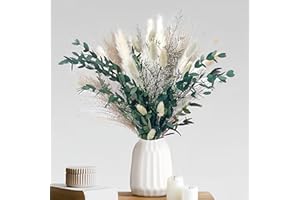DORCLIFE Nature Pampas Grass Boho Natural Dried Flowers Decoration Bouquet DIY Reed Flower Decor for Flower Arrangement, Wedding Decor, Home Décor, Table Living Room Vases (Green)