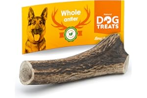 GIGIL TREAT YOUR PET LIKE A KING 100% Naturel Bois de Cerf pour Chien - Corne Jouet Os a Mâcher - Jouet Chien - Corne de Cerf pour Chien - Taille Large