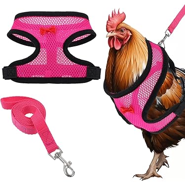 Pettorina Con Guinzaglio Per Polli E Animali Domestici - Regolabile, Traspirante | 3 Confezione - Foto 8