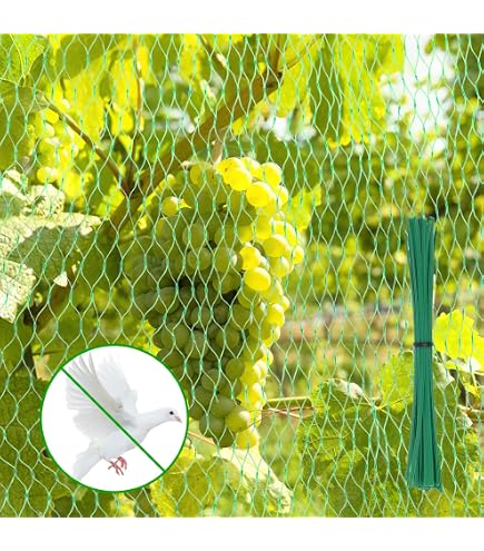 Vogelschutznetz 2x10m – Kulturschutznetz Aus Polyethylen Mit 10 Erdnägeln + 30 Gurten, Wiederverwendbar