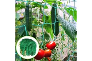 POWMAG Filet de Treillis, Filet à Plantes Grimpantes, Filet Jardin Potager Plantes Grimpantes, Treillis Jardin Filet pour Récolte de Concombres, Légume, Vignes, Plantes Grimpantes (2m*3m)