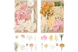 Partideal 2 Pack Natural Dried Flowers Pressed Flowers Real Dried Pressed Flowers and Leaves Dried Flowers Set for Scrapbooking DIY Candle Resin Jewelry Crafts( pink+orange)