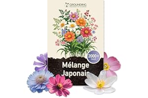 Grounding - Graines de Mix Prairie Fleurie Japonaise, 2000+ graines, hauteur max 30 cm - floraisons multicolores - Idéal pour massifs, bordures - Semis facile - Qualité Européenne