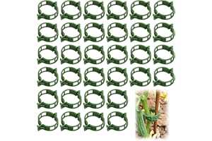 CZLINODUMMX 200 Stück Pflanze Clips Kunststoff Tomatenringe Tomatenclips Pflanzenclips Pflanzenklammern Rebe Clips Pflanzenklammern Gurkenclips Rankhilfe für Gemüse Tomate Pflanze Unterstützung Reben - Grün