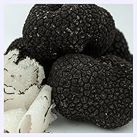 Trüffel - Sommertrüffel - Tuber Aestivum (40 Gramm)