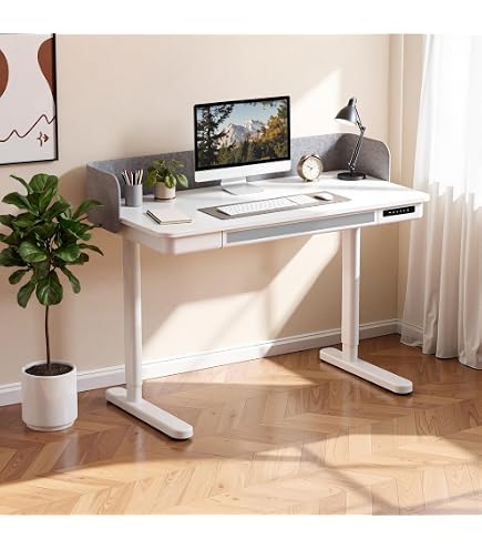 FLEXISPOT E7 Pro Heavy-Duty Standing Desk | Dual Motor, 3 Stage