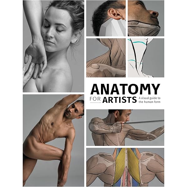 Anatomy for the Artist : Simblet, Sarah: Amazon.es: Libros