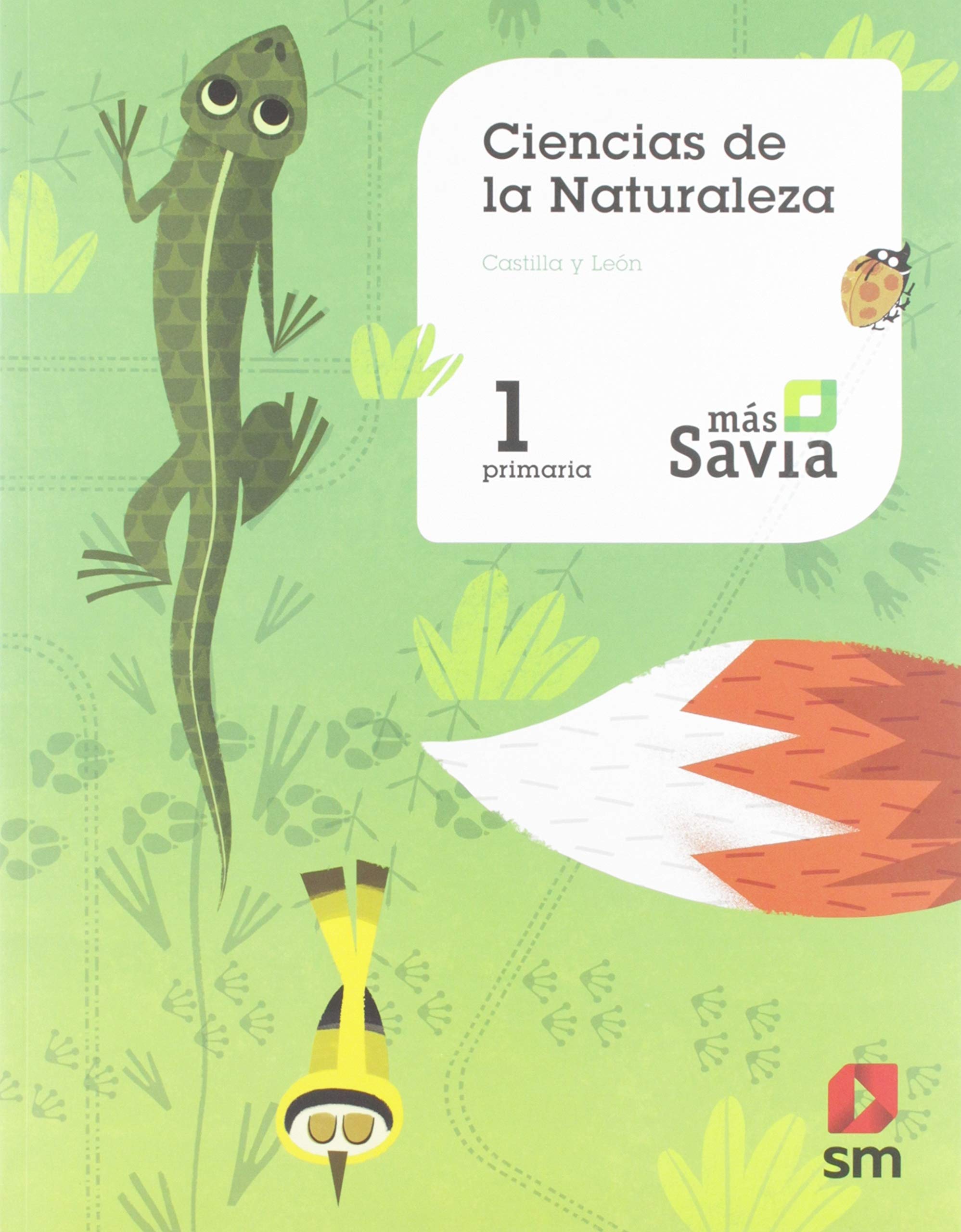 Ciencias de la naturaleza. 1 Primaria. Más Savia. Castilla y León