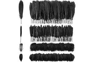 Geosar 300 Pezzi di Piume Naturali per Artigianato Piume D'Oca Decorazioni di Piume per Acchiappasogni Fai da Te Festa di Matrimonio Albero Festival e Accessori di Abbigliamento, 4 Taglie (Nero)
