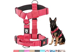 TSPRO Pettorina Cane Taglia Media-Grande, No Pull, Imbracatura per Cani Resistente con Fibbie a Sganci Rapidi e Maniglia, Regolabile e Comoda per Passeggiate (Rosso, M)