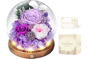 MAMAMIKO Preserved Roses in Glass Dome with LED Light - Long Lasting Real Flowers, Forever Flowers for Special Moments, Flowers Roses for Valentines Day Gifts, Mothers Day, Birthday Gifts for Women, Purple