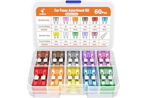 JOREST 60Pcs Standard Kfz Sicherungen Set,Auto sicherungen Set Autosicherung Flachsicherung Stecksicherungen Sicherung für PKW Wohnmobil LKW Motorrad (2 Amp 3A 5A 7.5A 10A 15A 20A 25A 30A 35A 40A)