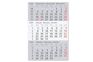Truento Kalendarium (magnetisch) für 2 Jahre (2024 & 2025) - passend für 3-Monats-Tischkalender Edelstahl
