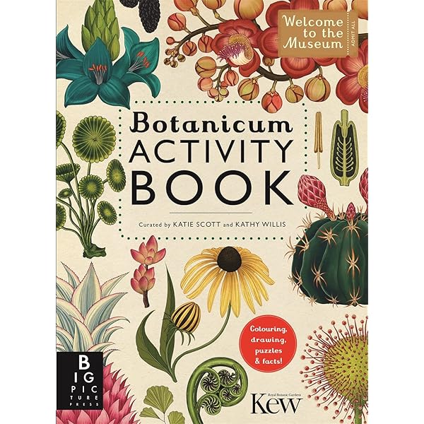 Fungarium Activity Book (Welcome To The Museum): Amazon.co.uk