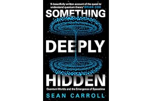 Something Deeply Hidden: Quantum Worlds and the Emergence of Spacetime