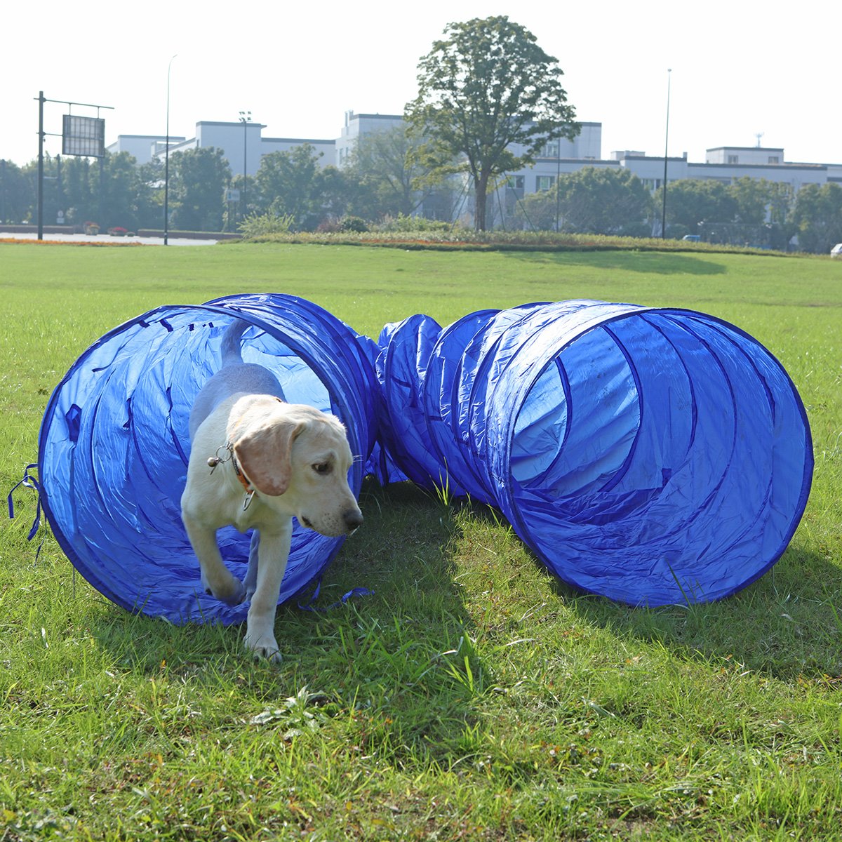 OHANA 5 Meters XL Large Dog Agility Tunnel, Dog Obstacle Equipment