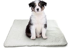 DIVCHI Pets Self Heating Bed Soft Warm Self Warming Pet Pads Thermal Self Heated Cat Dog Blanket Heat Pad Cushion Washable Mat for Indoor Cats Kitten & Puppy