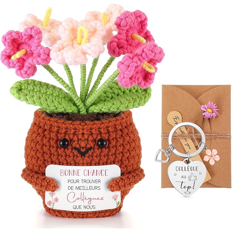 Coffret Cadeau Collègue - Trèfle à 4 Feuilles Tricoté, Porte-clés, Stylo Bois
