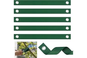 Coolty 12 Baumgurte mit Ösen zum Abspannen, frisch gepflanzte Bäumchen, gerade und Hurrikanschutz