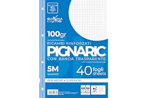 Pigna, Paquet de 40 4 trous, classement, bande latérale renforcée, feuilles à trous renforcées, papier 100 g/m². feuilles A4, 21x29,7, 5M, quadrillé 5 mm.