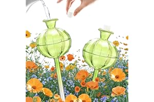 shallyong 2 Piezas Globos de Riego de Vidrio, Sistema Automático de Riego para Plantas de Interior, Plantas en Macetas, Decoración de Interiores y Jardín (Cactus Verde)