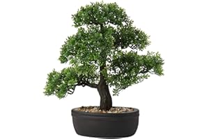 Briful Árbol de bonsái artificial de 14.1 pulgadas, planta japonesa bonsái decoración en maceta, plantas de pino sintético bonsái, árbol de cedro para interior/exterior, hogar, oficina, hotel