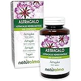 Astragalo (Astragalus membranaceus) radici NATURALMA | 150 g | 300 compresse da 500 mg | Integratore alimentare | Naturale e 
