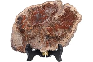 mookaitedecor 5-6.7" Natural Petrified Wood Slice Stone Specimen with Wooden Stand, Genuine Fossils Irregular Polished Raw Rough Stone Figurine for Home Office Decor Housewarming Gift
