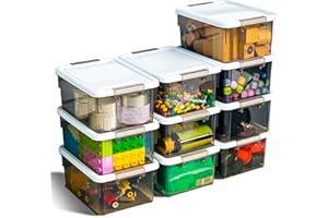 Citylife 10 Pack Small Storage Boxes with Lids Plastic Storage Boxes Stackable Clear Small Storage Box with Handles,Grey…