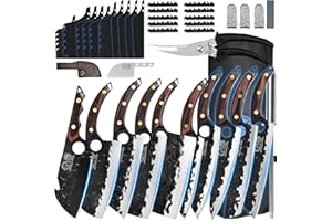 XYJ 10 pièces couteau de cuisine set, couteau de chef forgé en acier au carbone, légumes, gravure, nakiri, soupe complète, couteau de vaisselle avec sac, aiguiseur et ciseaux de volaille (café)