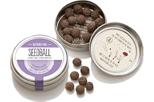 SEEDBALL Butterfly Mix Seed Bombs (Wild Flower Tin) - 20 Seed Balls Per Pack | Eco Friendly British Wildflower Seeds | Clay Protected Seed Bomb for Butterflies – A Mix of Purple, Pink & Blue Flowers