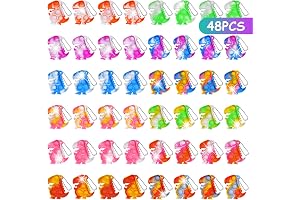 48 Pz Fidget Toy Portachiavi（dinosauro）