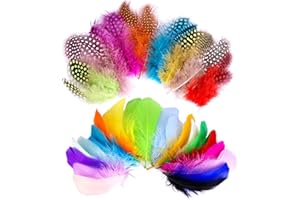 BYZESTY Piume Naturali Colorate,300 pezzi,Piume Naturale Decorazioni,per acchiappasogni, costumi, cappelli,per Le Feste di Compleanno e Matrimonio,Sicuri e Non Tossici e Non Sbiadiscono