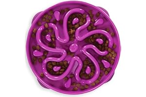 Outward Hound Slow Feeder Dog Bowl - Makes Meal Time Fun, Slows Down Eating, Promotes Healthy Digestion, Prevents Bloat | Slip Resistant and Durable, Food and Water Bowl, Size Large (Purple)