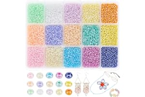 PH PandaHall Circa 19500pcs Mini Perline Vetro Perle di Vetro Colorate 2mm 15 Colore per Braccialetti Adulti bigiotteria Collane Artigianato Gioielli Fai da Te