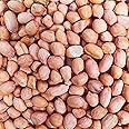 Avlokan Raw Unpolished Peanuts/Groundnuts Pack of 1-(500g)