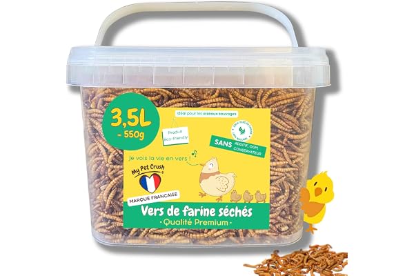 vers de Farine Séchés pour Poules et Oiseaux | Seau Rigide 3,5L (Qualité Premium) | 100% Naturel Riche en Protéines | Complément Alimentaire pour Tortues, Reptiles et Carpes | Vitalité Naturelle