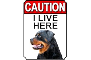 SHAWPRINT LIMITED Shawprint CAUTION I LIVE HERE METAL GATE SIGN ROTTWEILER THEME 200MM X 150MM (1415H1)
