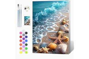 Auremi Mer Peinture par numéros adulte avec cadre,Paysage Kit de bricolage pour adultes Peinture sur toile Avec peinture et pinceau, Cadeaux et décorations de peinture 20x30 cm