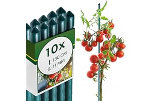 KADAX Paliki do roślin 180 cm x 11 mm, zestaw 10 szt. – stal powlekana, podpórka do roślin i drążki do pomidorów do ogrodu, odporne na warunki atmosferyczne i stabilne