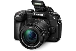 Panasonic LUMIX DMC-G80MEB-K Professional Camera with 12-60 mm Lens - Black