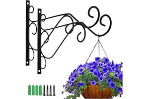 CUTEFLY Mnixy 2 Unidades de Soporte de Pared para Colgar Plantas, Ganchos para Colgar Flores, colgadores de Plantas, Ganchos Decorativos para Colgar Flores, cestas Colgantes, campanillas de Viento, linternas
