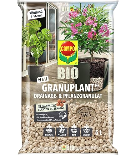 neuseeländer spinat saatgut Neuseeländer Spinat Saatgut kaufen main image 1