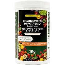 Bicarbonato Di Potassio K-PLUS 1kg – Concime Fitokem Per Piante E Orto