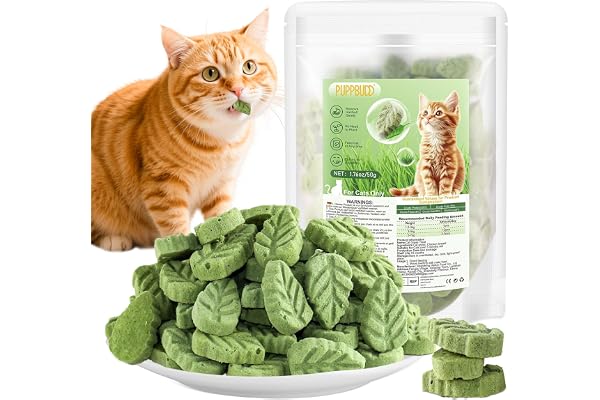 50g Bâton de Dentition d'herbe de Chat, Comestible Collations pour Chats, Friandises pour Chats Lyophilisé de Nettoyeur de Dents
