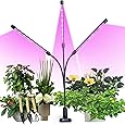 semai Pflanzenlampe LED 30W Pflanzenlicht Pflanzenleuchte Wachstumslampe Wachsen licht Grow Lampe Vollspektrum für Zimmerpflanzen mit Zeitschaltuhr, 3 Arten von Modus, 6 Arten von Helligkeit